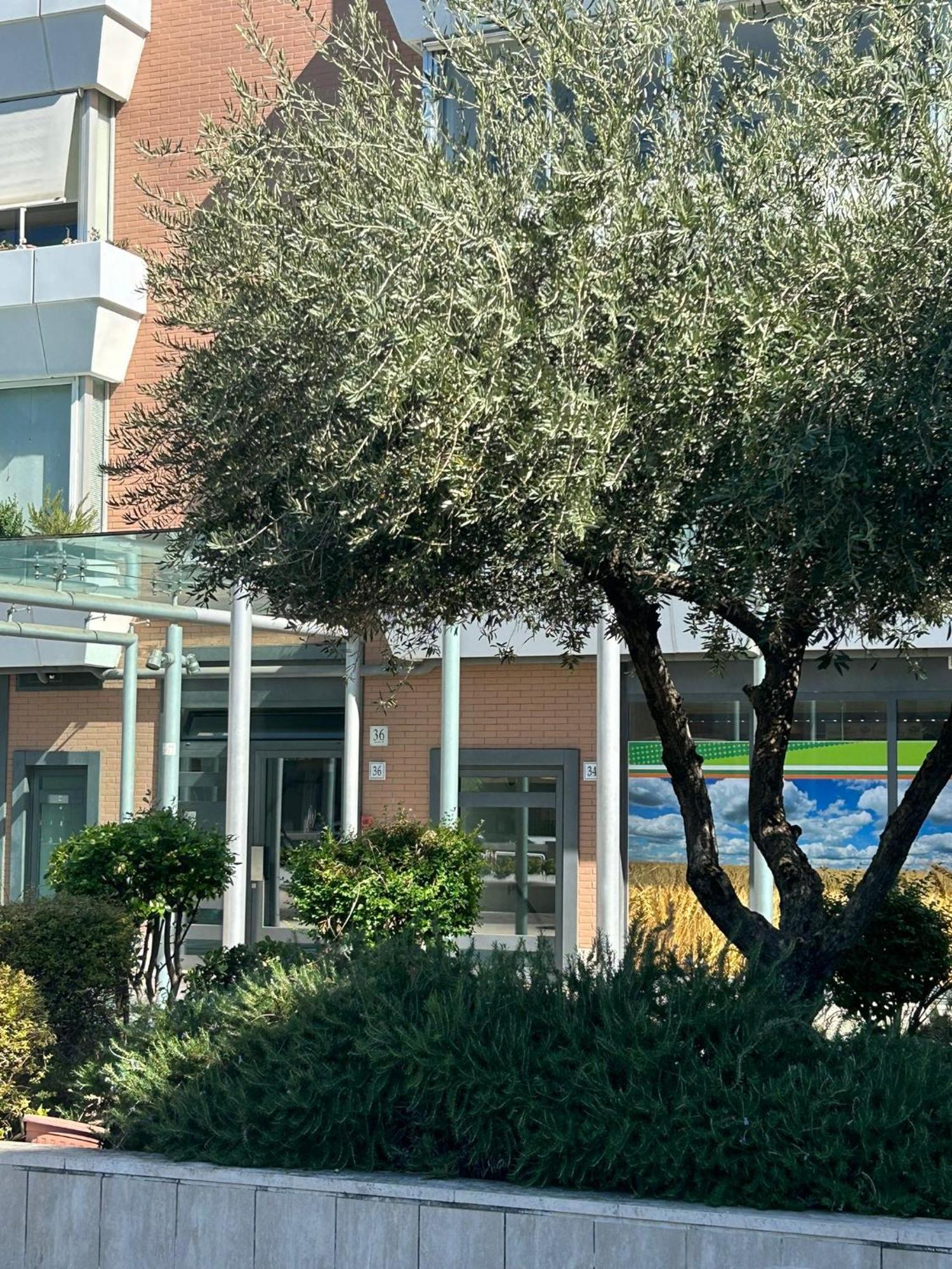 Dina Suite Ρώμη Εξωτερικό φωτογραφία